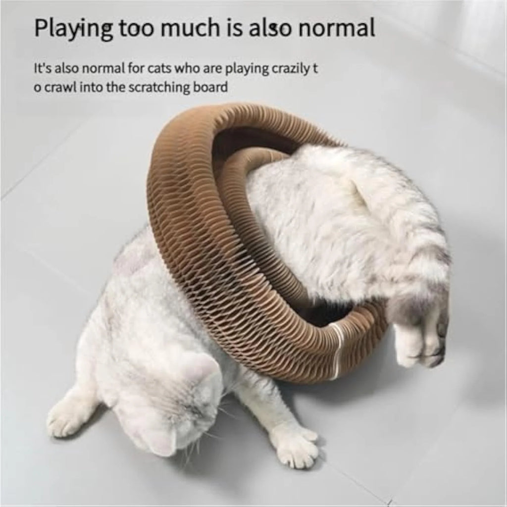 Kitty Cat Kurlz Toy, Marlene Kitty Cat Kurlz, Kitty Curlz Cat Toy, Marlene'S Pet Store Kitty Cat Kurlz, Magic Cat Toy, Foldable Accordion Cat Toy, Recyclable Cat Scratcher with Ball