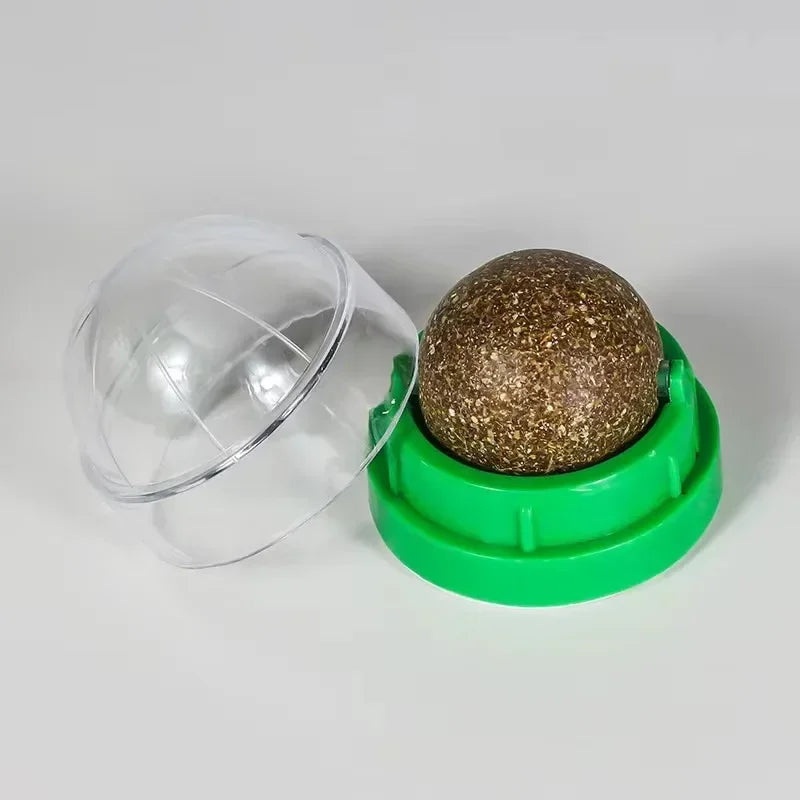Natural Catnip Wall Mount Cat Scratching Ball Toy Healthy Cat Grass Snack Promote Digestion Grooming Massage Toy for Indoor Cats