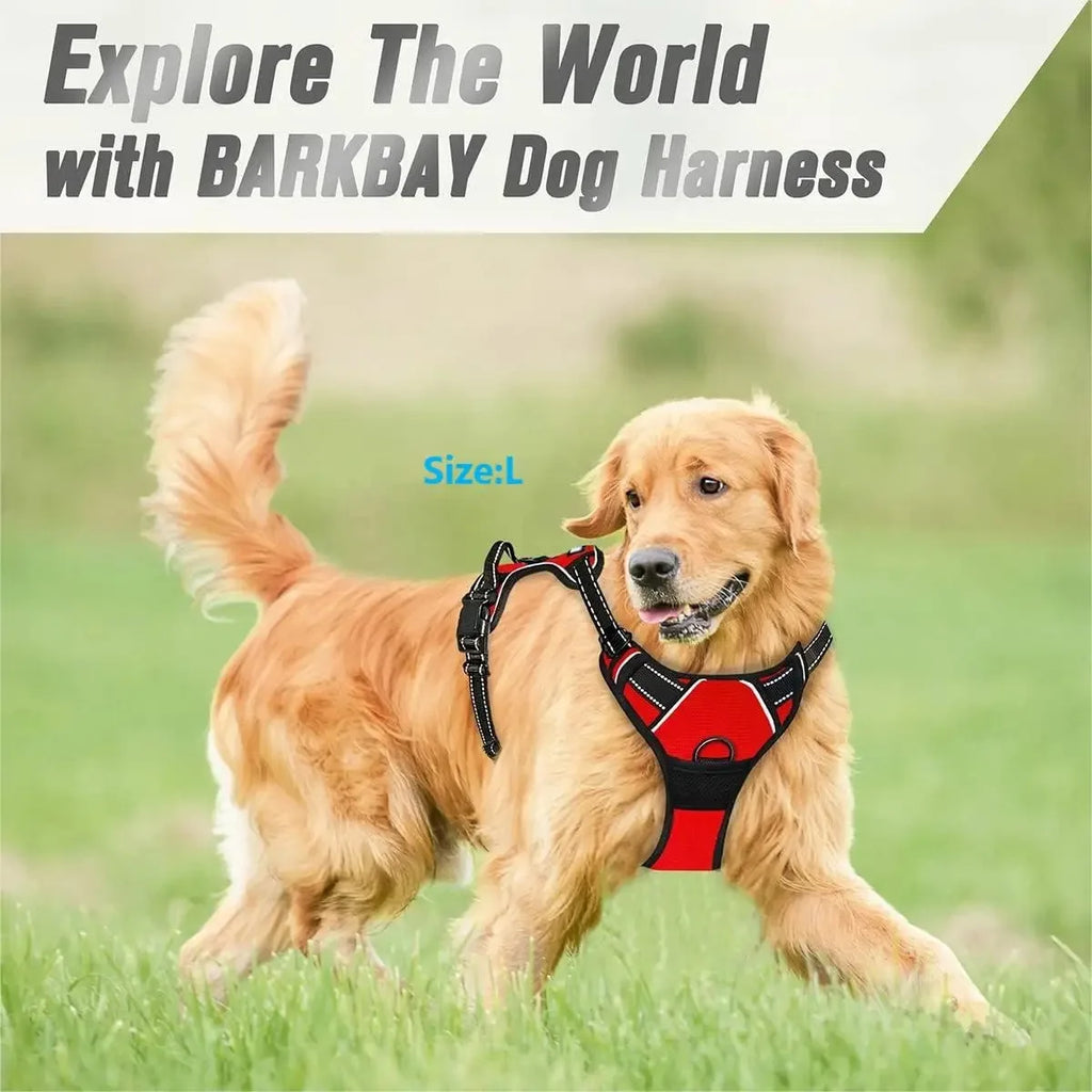 Harnais Réfléchissant Confort pour Chien