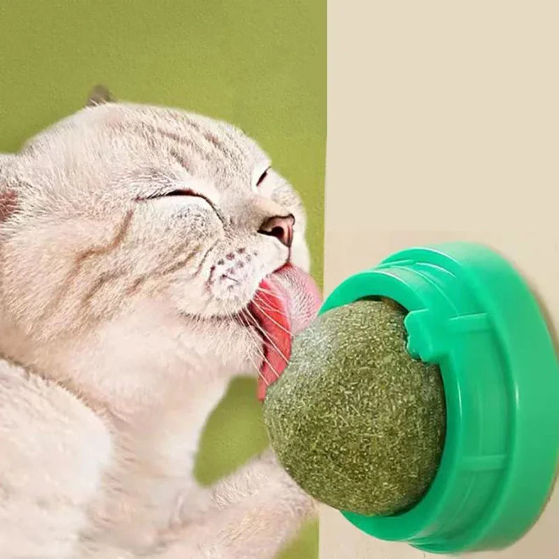 Natural Catnip Wall Mount Cat Scratching Ball Toy Healthy Cat Grass Snack Promote Digestion Grooming Massage Toy for Indoor Cats