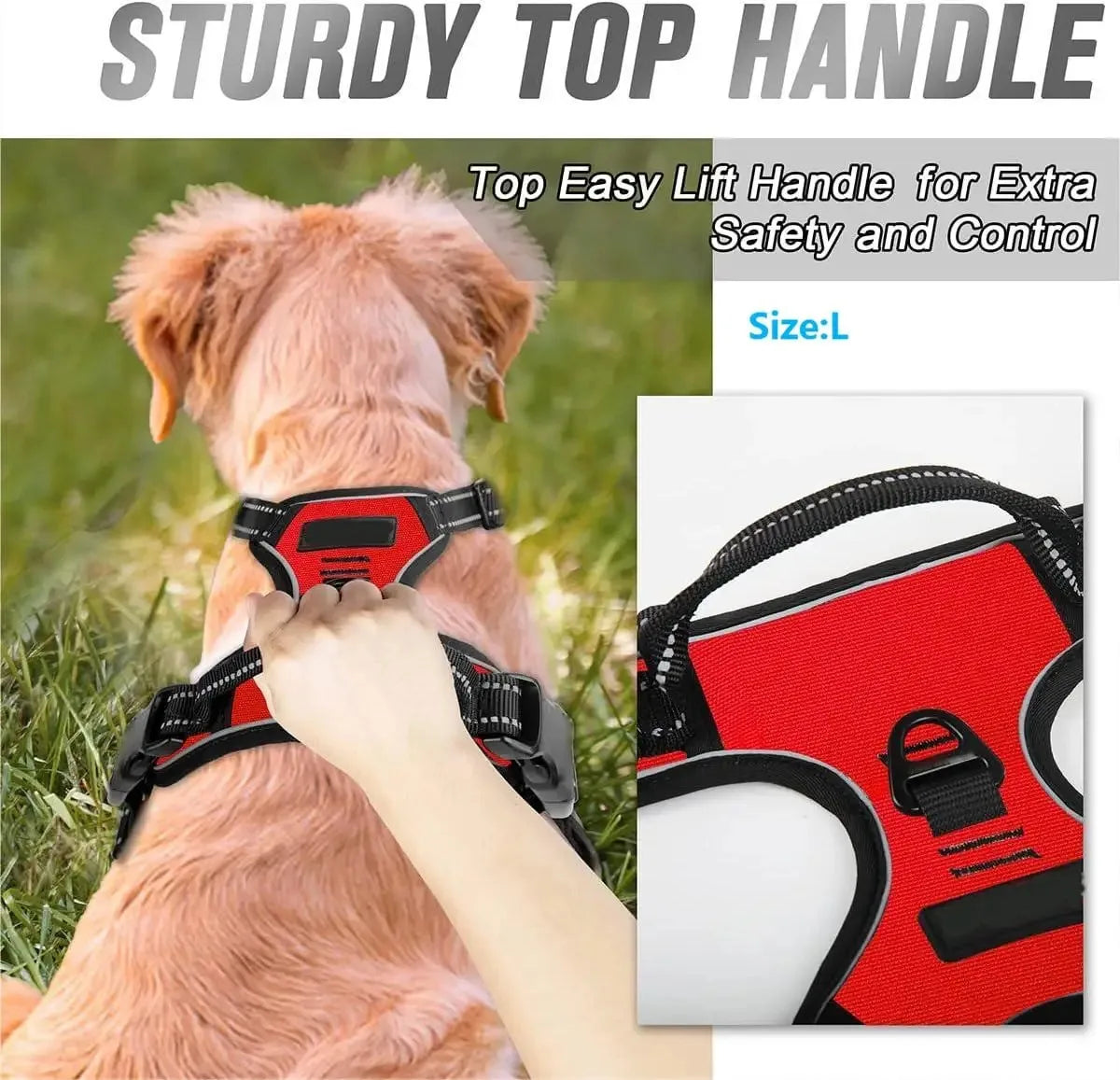 Harnais Réfléchissant Confort pour Chien