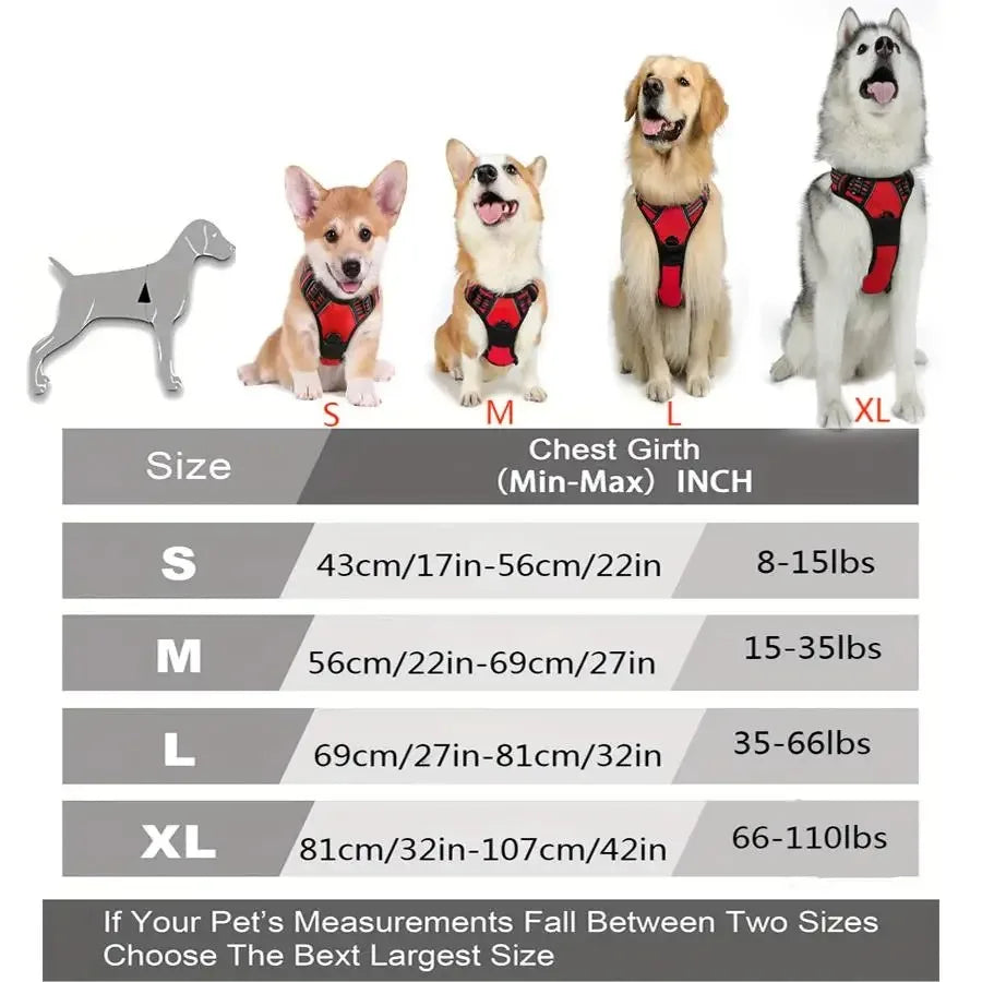 Harnais Réfléchissant Confort pour Chien
