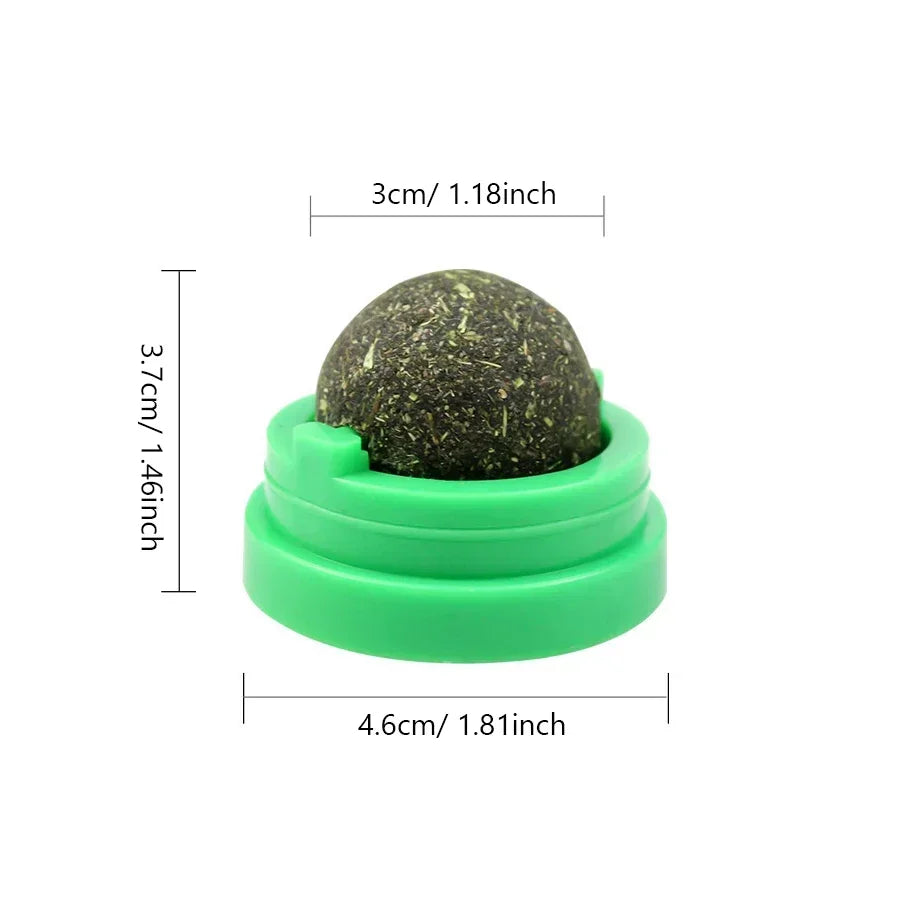 Natural Catnip Wall Mount Cat Scratching Ball Toy Healthy Cat Grass Snack Promote Digestion Grooming Massage Toy for Indoor Cats