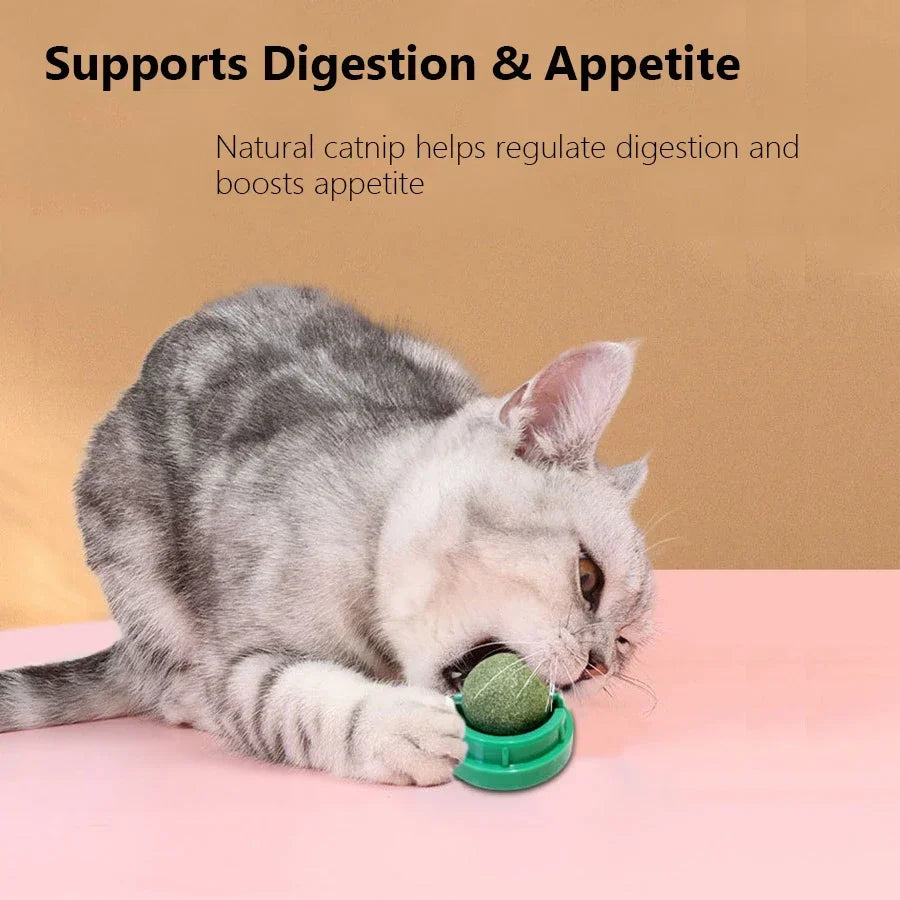 Natural Catnip Wall Mount Cat Scratching Ball Toy Healthy Cat Grass Snack Promote Digestion Grooming Massage Toy for Indoor Cats
