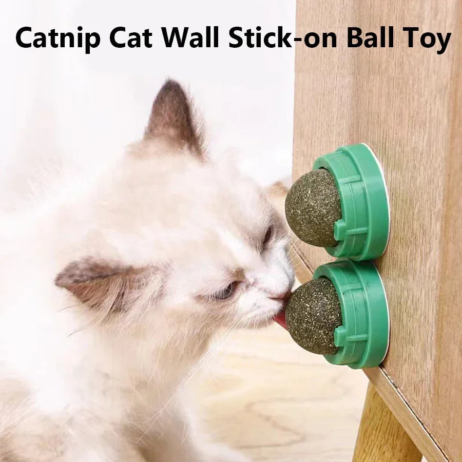 Natural Catnip Wall Mount Cat Scratching Ball Toy Healthy Cat Grass Snack Promote Digestion Grooming Massage Toy for Indoor Cats