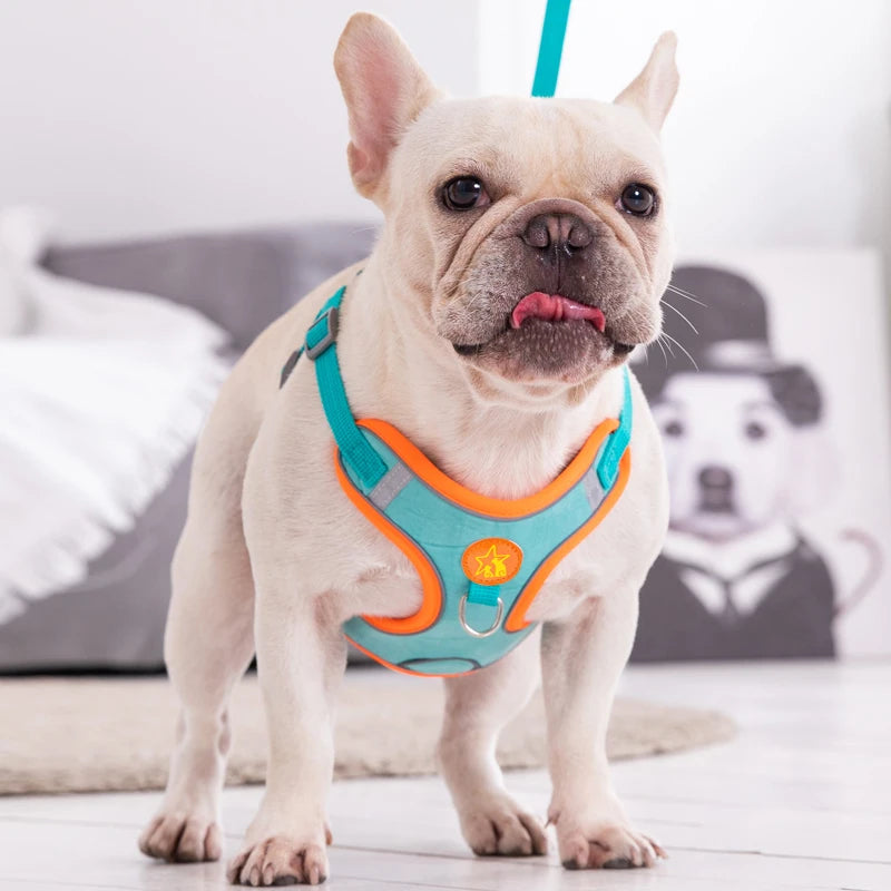 New Style Pet Dog Chest Strap Small Breed Anti-Lost Reflective Traction Rope Breathable and Comfortable Tank Top Traction Rope