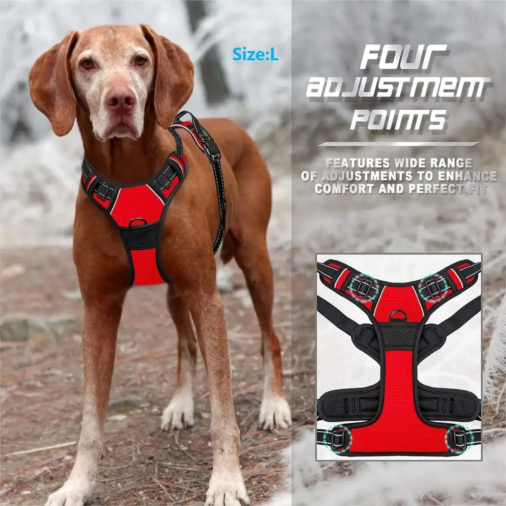 Harnais Réfléchissant Confort pour Chien
