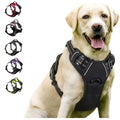 Harnais Réfléchissant Confort pour Chien