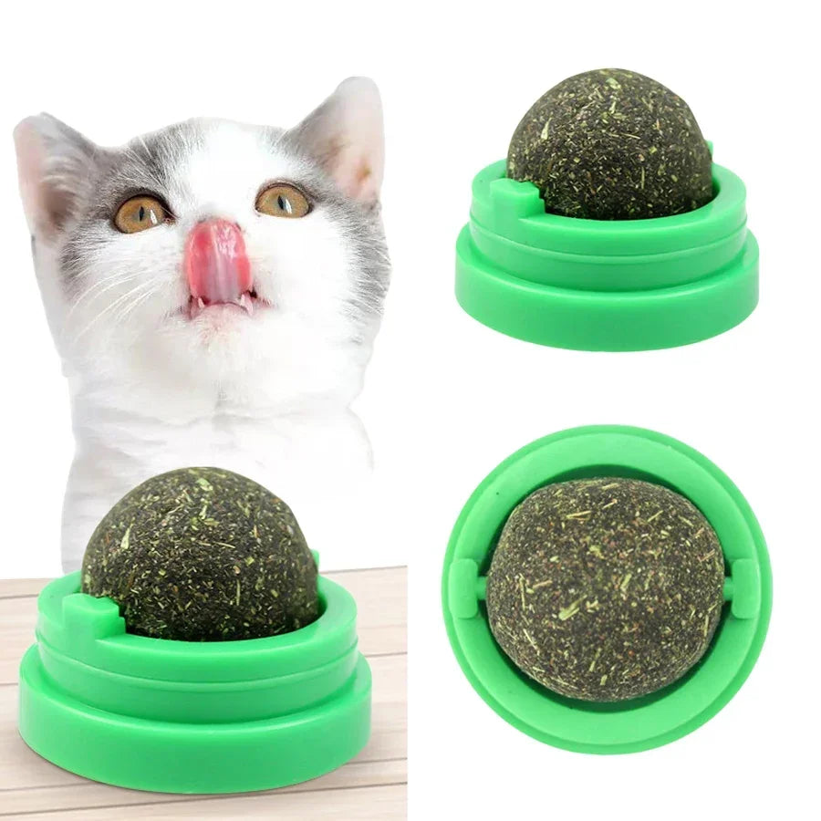 Natural Catnip Wall Mount Cat Scratching Ball Toy Healthy Cat Grass Snack Promote Digestion Grooming Massage Toy for Indoor Cats