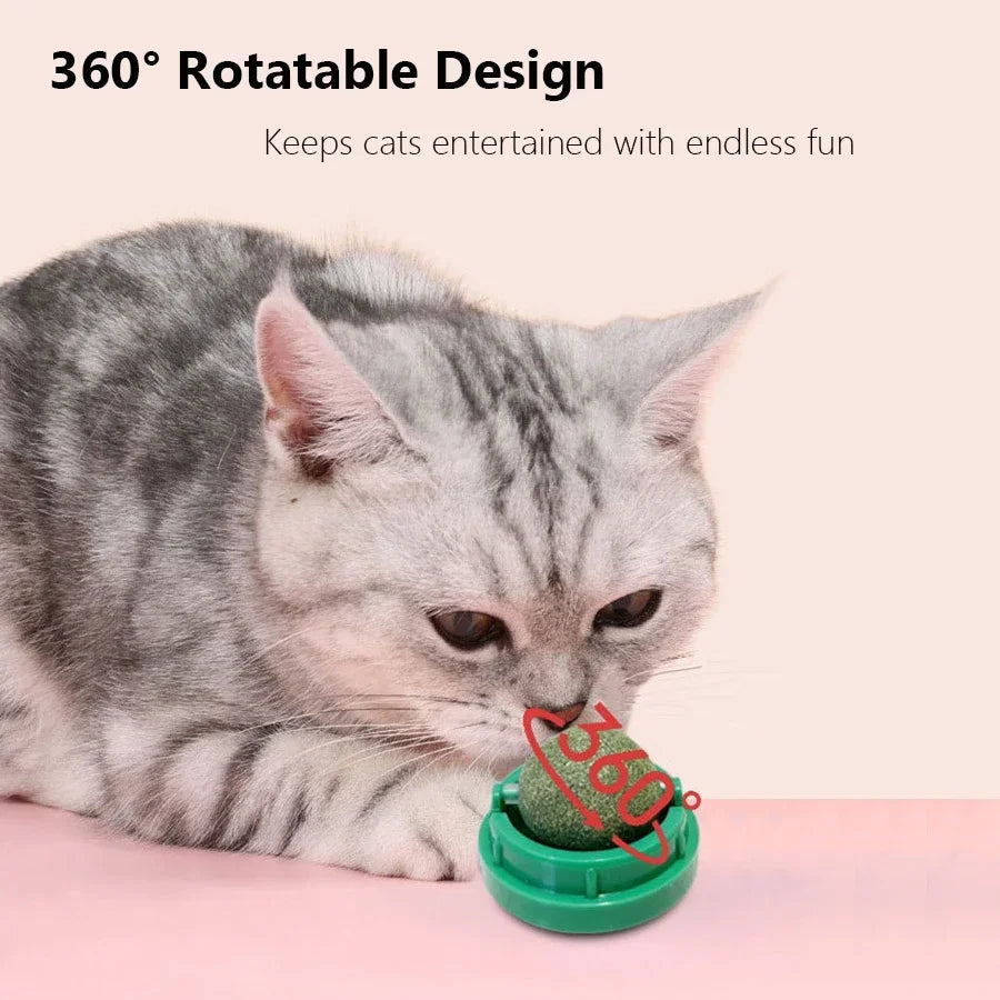 Natural Catnip Wall Mount Cat Scratching Ball Toy Healthy Cat Grass Snack Promote Digestion Grooming Massage Toy for Indoor Cats