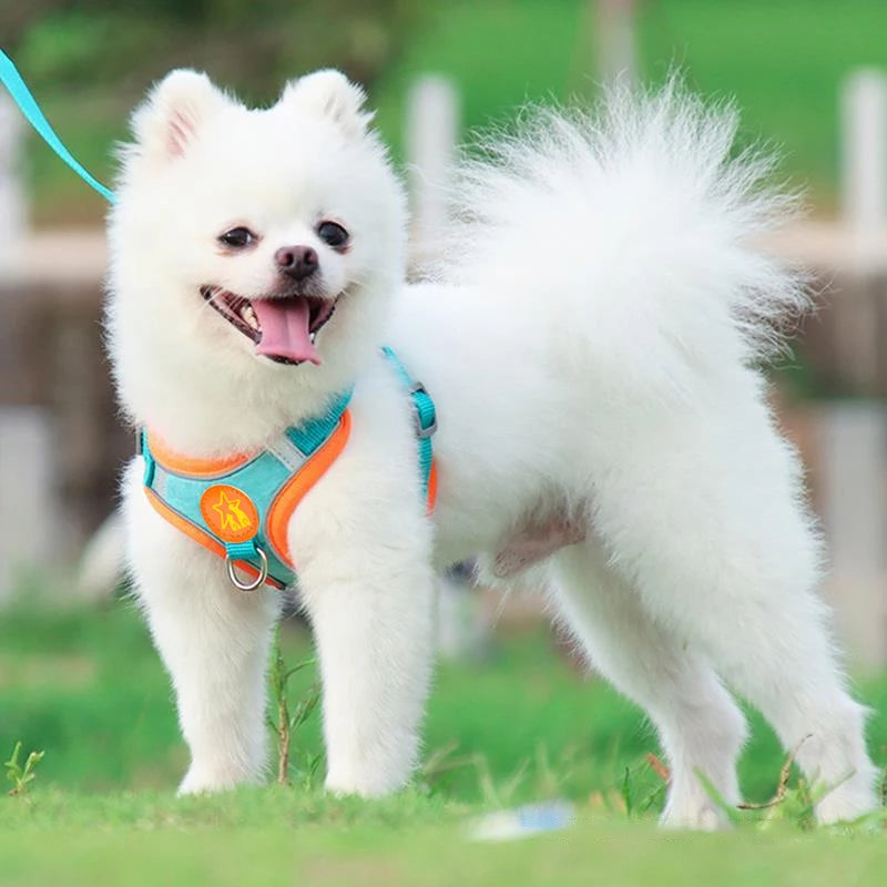 New Style Pet Dog Chest Strap Small Breed Anti-Lost Reflective Traction Rope Breathable and Comfortable Tank Top Traction Rope